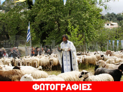 Χανιά: Tο έθιμο της ευλογίας των προβάτων