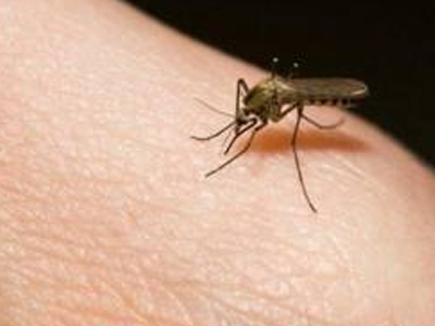 Κρούσμα ελονοσίας στη Λάρισα