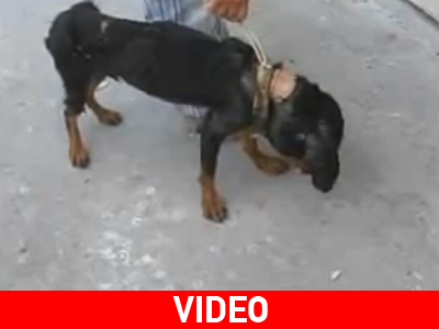 To εγκατέλειψαν αλλά στάθηκε τυχερό