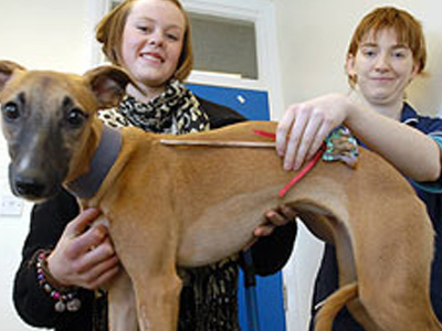 Κατάπιε παιχνίδι 30 εκατοστών, χωρίς να τραυματιστεί