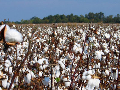 Ζητούν την «εξατομίκευση» των ζημιών