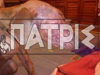 Νέο κρούσμα κακοποίησης ζώων στην Ηλεία