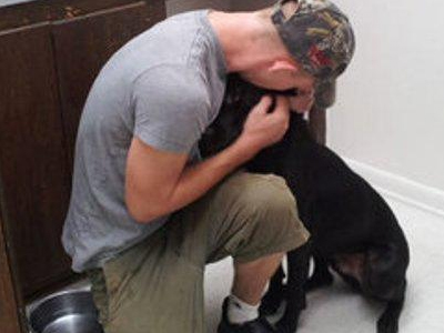 Λαμπραντόρ διένυσε 800 χιλιόμετρα για να βρει το αφεντικό του! Λαμπραντόρ διένυσε 800 χιλιόμετρα για να βρει το αφεντικό του!