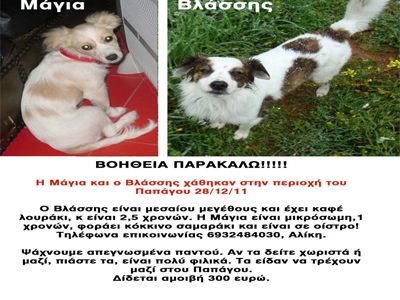 Μήπως είδατε τη Μάγια και τον Βλάσση;