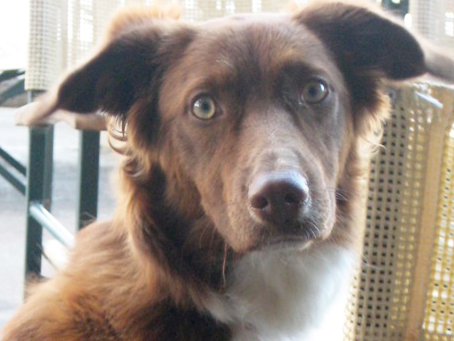 Εξαφανίστηκε η Βαλεντίνη