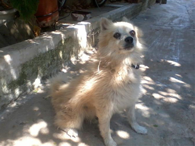 Χάθηκε ο Άγγελος