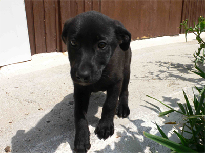 Ένα σπιτάκι για τη γλυκιά Chiara