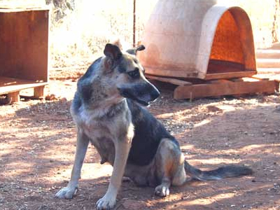 Αυτή η μανούλα ζητεί οικογένεια