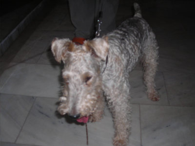 Επέστρεψε στο σπίτι του ο Φλας