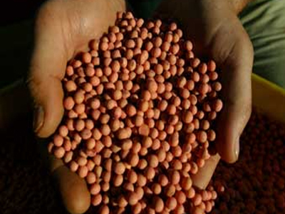 Όσα δεν γνωρίζατε για τη σόγια