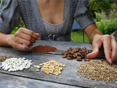 Δωρεάν ανταλλαγή σπόρων