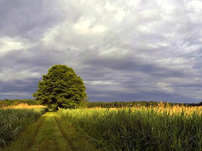 Ο καιρός σήμερα