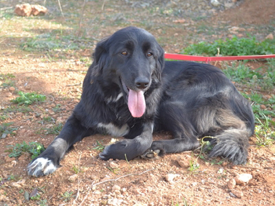 Χαρίζεται η Στεφανί