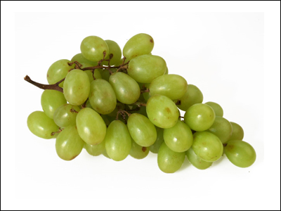 Τους έκρυψε ανάμεσα στα σταφύλια