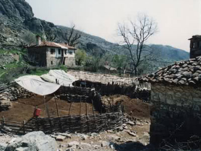 Κάηκαν πρόβατα σε στάνη