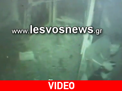 ΣΟΚ: Στραγγάλισε πρόβατο για να το φάει