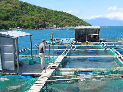 Συγκέντρωση στον Κόρφο Κορινθίας κατά των ιχθυοκαλλιεργειών