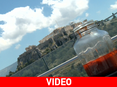 Η σάλτσα ντομάτας του Ηλία Η σάλτσα ντομάτας του Ηλία