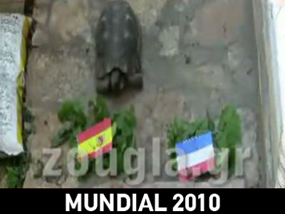 Δικαιώθηκε η… Τερψιθέα