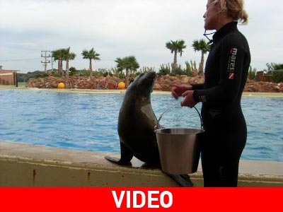 Εντυπωσιακό φινάλε για Τσάρλι