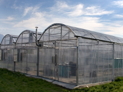 Αυτοκτονία στην Ιεράπετρα