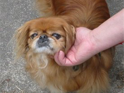 Χάθηκε η Μάργκο