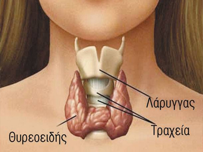 Θυρεοειδής και σωματικό βάρος