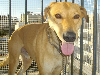 Μια αγκαλιά για τον Timmy