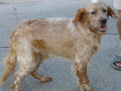 Αυτός λοιπόν είναι ο Τέρυ!