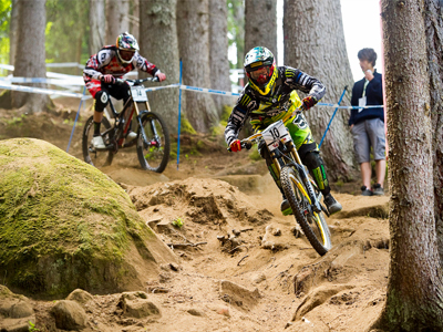 You are simply the best!