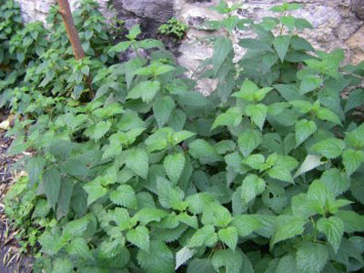 Αιμορραγία κατά την περίοδο;