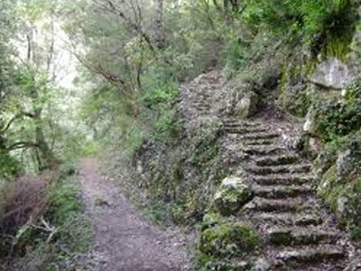 Έχασαν τον δρόμο τους