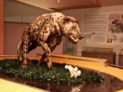 Σε λειτουργία το Κέντρο Προβολής Λόφου Αγίου Γεωργίου του Δήμου Κιλκίς