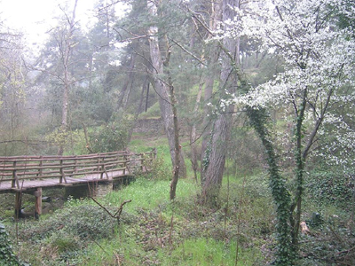 Απαγόρευση κυκλοφορίας του Σέιχ Σου ως το τέλος της αντιπυρικής περιόδου