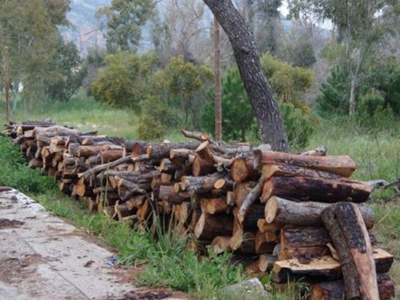 «Βροχή» μηνύσεων και κατασχέσεων για λαθροϋλοτομία