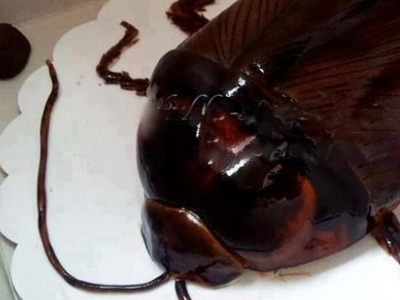 Θα το τρώγατε;