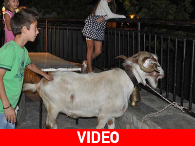 Kέρδισε κι εσύ έναν τράγο… Μπορείς!