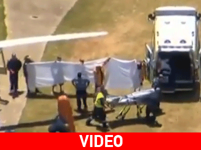 Βίντεο-σοκ μετά την επίθεση λευκού καρχαρία σε σέρφερ