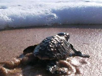 Γεννητούρια στη Ζάκυνθο!