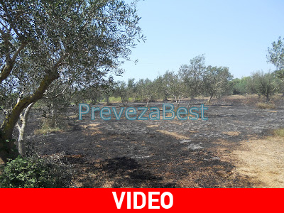 Στις φλόγες αγροτική έκταση στην Πρέβεζα