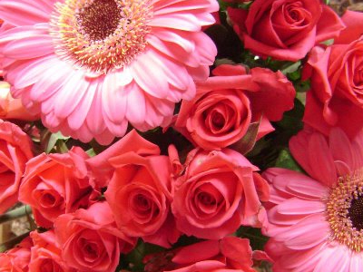 Τα λουλούδια στον Πρωθυπουργό από μένα