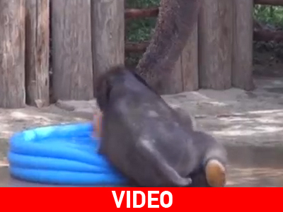 Έκανε το… μπανάκι του Έκανε το… μπανάκι του