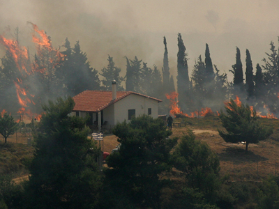 Στάχτη 8.000 στρέμματα