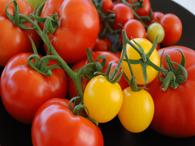 Προτιμήστε τις βιολογικές ντομάτες