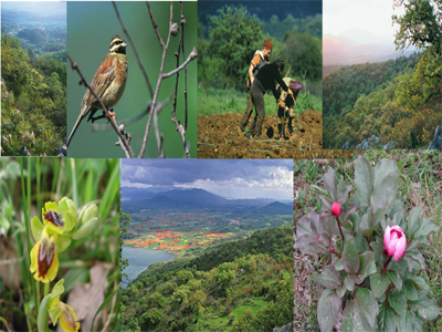 Συνάντηση ευρωβουλευτών με Κ. Παπούλια για τη βιοποικιλότητα στην Ελλάδα