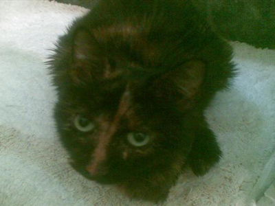 Μια οικογένεια για τη Βιβή