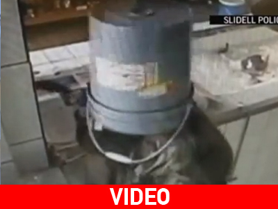 Η.Π.Α.: Ο διαρρήκτης με τον κουβά! Η.Π.Α.: Ο διαρρήκτης με τον κουβά!