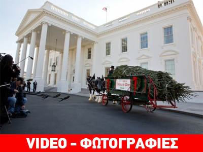 Η.Π.Α.: Ένα έλατο για τον Λευκό Οίκο