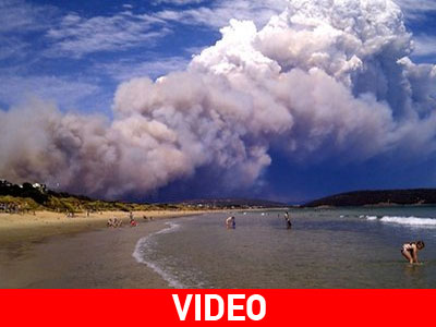 Αυστραλία: Κατέφυγαν στη θάλασσα για να γλιτώσουν τις φλόγες