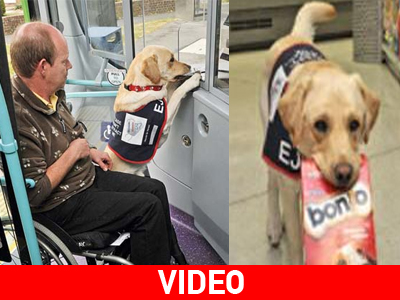 Ένας πιστός και πολύτιμος βοηθός!